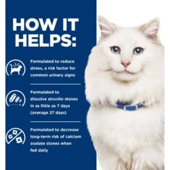 Hill's Prescription Diet C/d Multicare Stress Urinary Care With Ocean Fish Dry Cat Food -Hill's Science Plan Store 316650 PT3. AC SS1800 V1668616081