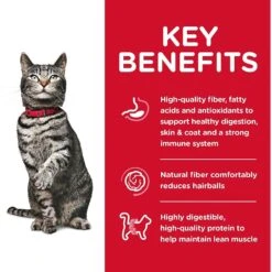 Hill's Science Diet Adult 7+ Senior Vitality Chicken Recipe Dry Cat Food & Hill's Science Diet Adult Urinary Hairball Control Dry Cat Food -Hill's Science Plan Store 338687 PT8. AC SS1800 V1635916331