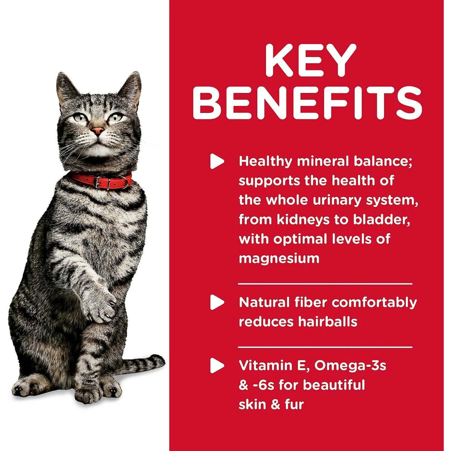Hill's Science Diet Adult Sensitive Stomach & Sensitive Skin Chicken & Rice Recipe Dry Cat Food & Hill's Science Diet Adult Urinary Hairball Control Savory Chicken Entree Canned Cat Food 11 Hill's Science Diet Adult Sensitive Stomach & Sensitive Skin Chicken & Rice Recipe Dry Cat Food & Hill's Science Diet Adult Urinary Hairball Control Savory Chicken Entree Canned Cat Food - Image 9