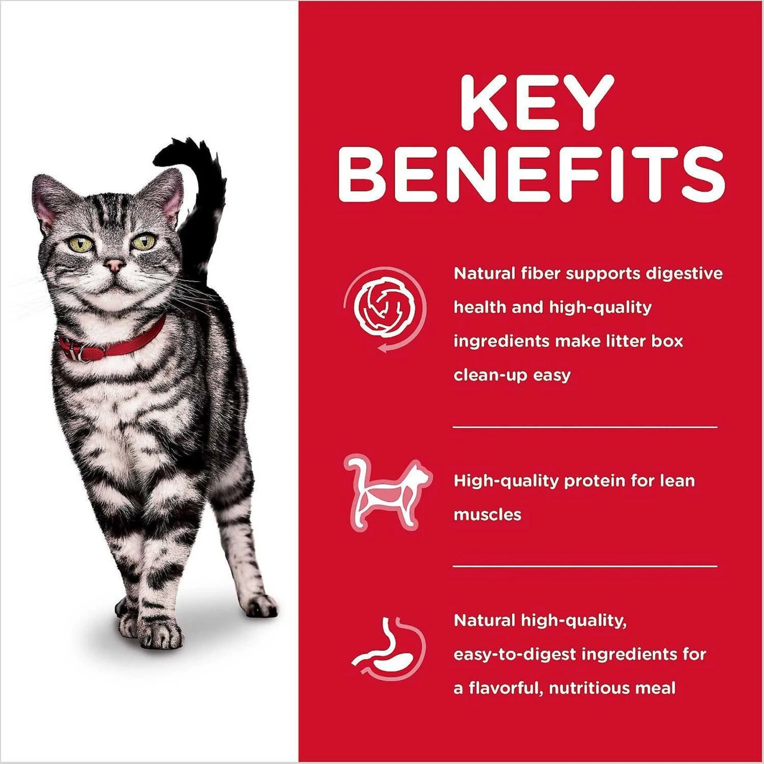 Hill's Science Diet Adult Indoor Chicken Recipe Dry Cat Food & Hill's Science Diet Adult Healthy Cuisine Roasted Chicken & Rice Medley Canned Cat Food 7 Hill's Science Diet Adult Indoor Chicken Recipe Dry Cat Food & Hill's Science Diet Adult Healthy Cuisine Roasted Chicken & Rice Medley Canned Cat Food - Image 5