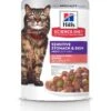 Hill's Science Diet Adult Sensitive Stomach & Skin Salmon & Tuna Wet Cat Food -Hill's Science Plan Store 364091 MAIN. AC SS1800 V1643907084