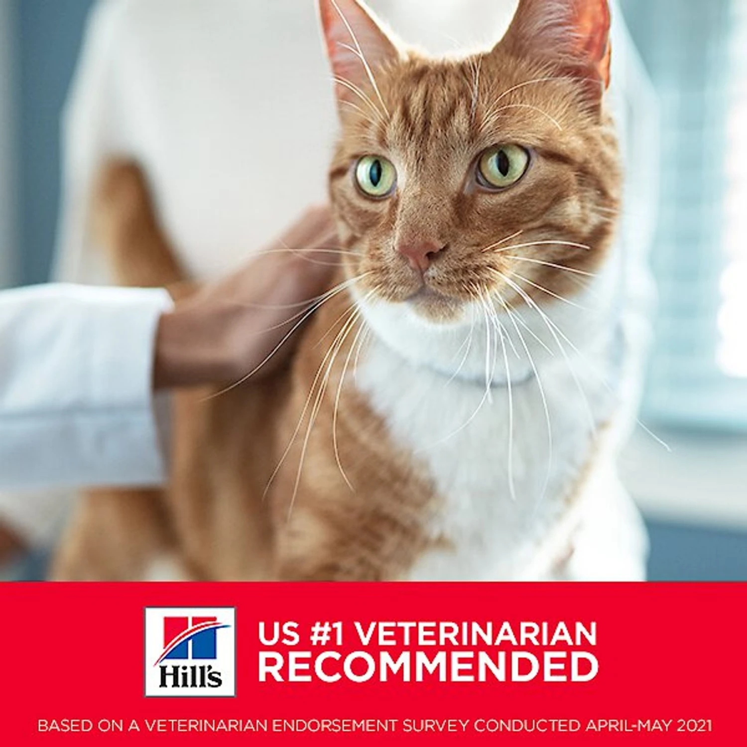 Hill's Science Diet Adult Sensitive Stomach & Skin Salmon & Tuna Wet Cat Food 8 Hill's Science Diet Adult Sensitive Stomach & Skin Salmon & Tuna Wet Cat Food - Image 6