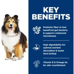 Hill's Science Diet Adult Sensitive Stomach & Sensitive Skin Chicken Recipe Dry Dog Food -Hill's Science Plan Store 48856 PT5. AC SS1800 V1634575573