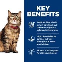 Hill's Science Diet Adult Sensitive Stomach & Sensitive Skin Chicken & Rice Recipe Dry Cat Food -Hill's Science Plan Store 48888 PT5. AC SS1800 V1617660461