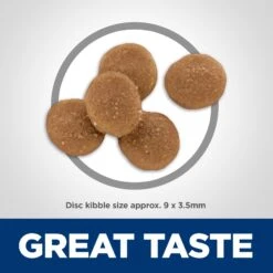 Hill's Science Diet Adult Sensitive Stomach & Sensitive Skin Chicken & Rice Recipe Dry Cat Food -Hill's Science Plan Store 48888 PT6. AC SS1800 V1617659538