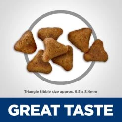 Hill's Science Diet Adult Indoor Chicken Recipe Dry Cat Food -Hill's Science Plan Store 48899 PT6. AC SS1800 V1598156477