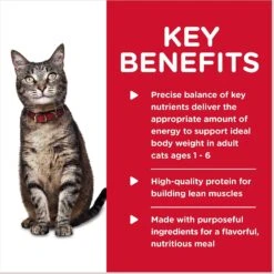 Hill's Science Diet Adult Savory Chicken Entree Canned Cat Food 14 Hill's Science Diet Adult Savory Chicken Entree Canned Cat Food -Hill's Science Plan Store 48911 PT3. AC SS1800 V1598153173