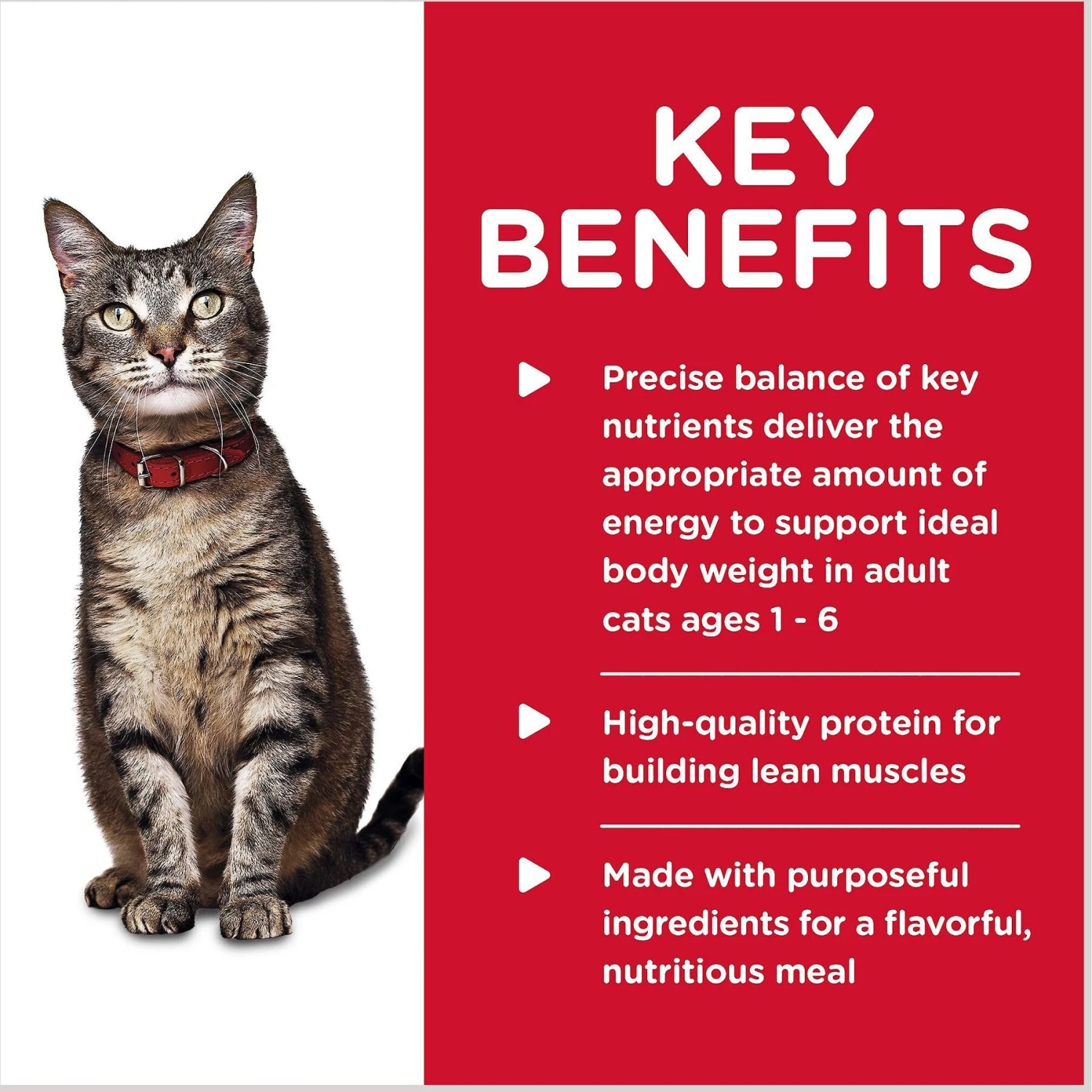 Hill's Science Diet Adult Savory Chicken Entree Canned Cat Food 6 Hill's Science Diet Adult Savory Chicken Entree Canned Cat Food - Image 4