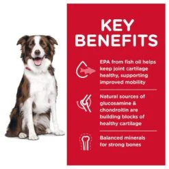 Hill's Science Diet Adult Healthy Mobility Large Breed Chicken Meal, Brown Rice & Barley Recipe Dry Dog Food -Hill's Science Plan Store 48930 PT2. AC SS1800 V1629133290