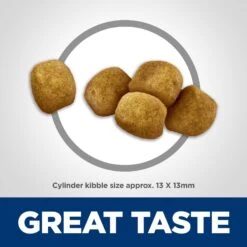 Hill's Science Diet Adult Oral Care Dry Cat Food 13 Hill's Science Diet Adult Oral Care Dry Cat Food -Hill's Science Plan Store 48939 PT2. AC SS1800 V1609456339