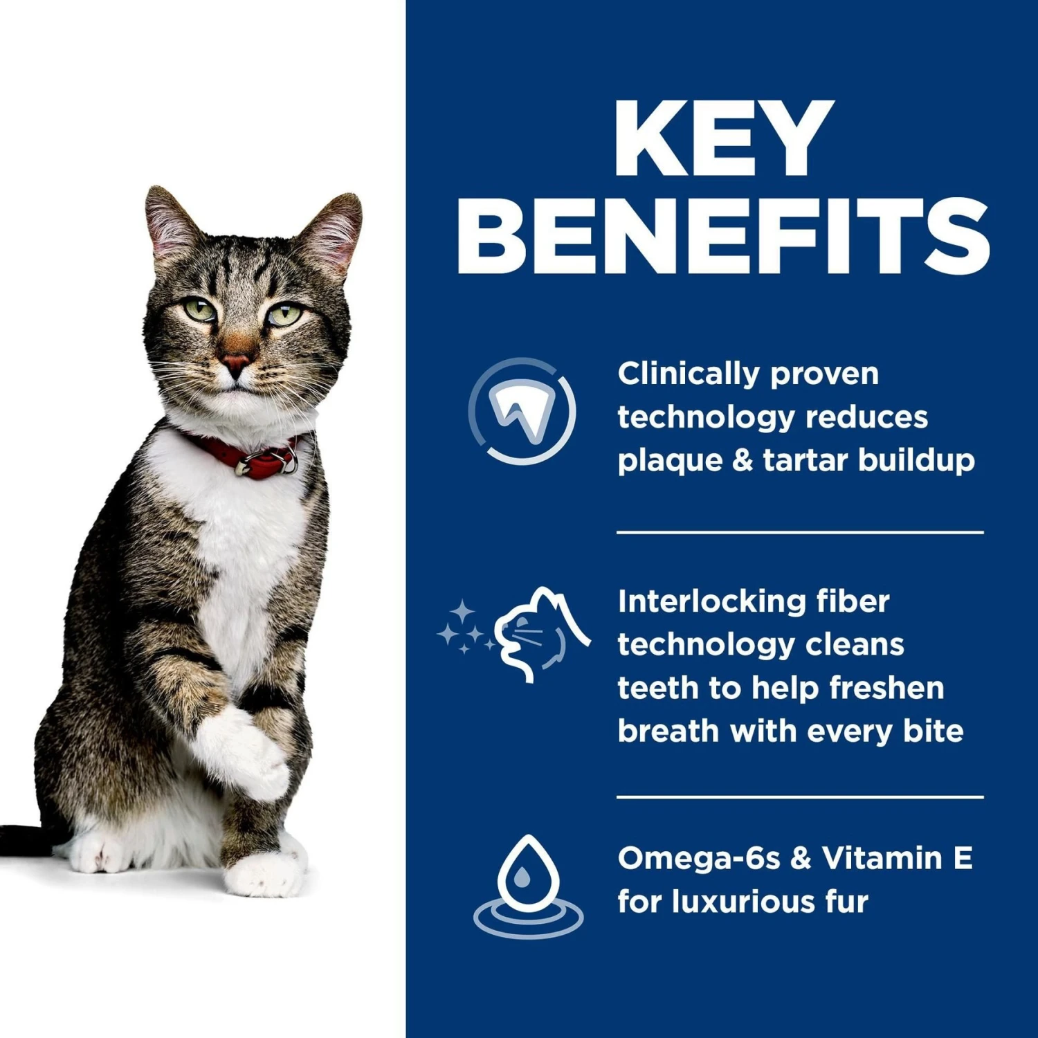 Hill's Science Diet Adult Oral Care Dry Cat Food 7 Hill's Science Diet Adult Oral Care Dry Cat Food - Image 5