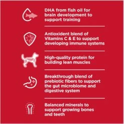 Hill's Science Diet Puppy Chicken & Barley Entree Canned Dog Food 14 Hill's Science Diet Puppy Chicken & Barley Entree Canned Dog Food -Hill's Science Plan Store 48946 PT3. AC SS1800 V1690571496