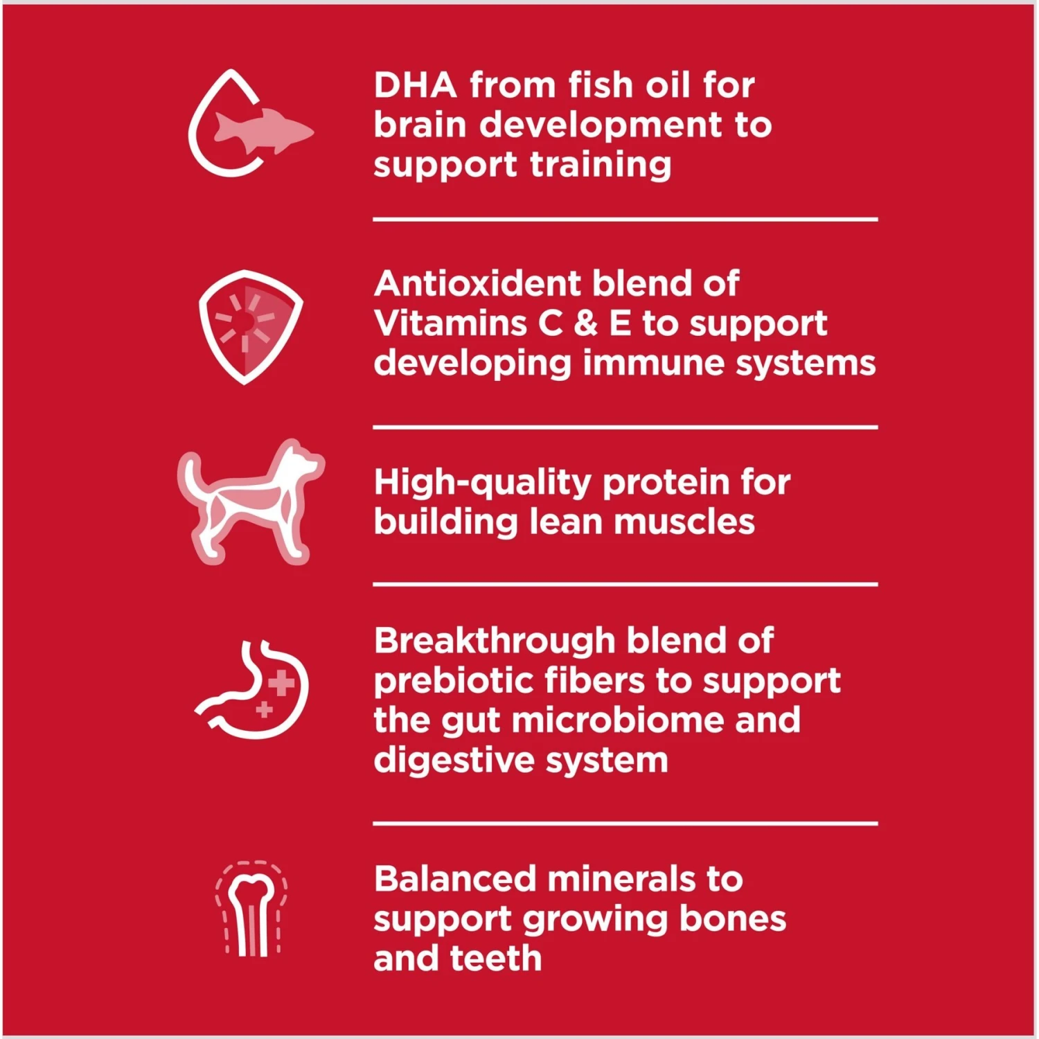 Hill's Science Diet Puppy Chicken & Barley Entree Canned Dog Food 6 Hill's Science Diet Puppy Chicken & Barley Entree Canned Dog Food - Image 4