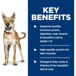 Hill's Science Diet Adult Chicken & Barley Entree Canned Dog Food 16 Hill's Science Diet Adult Chicken & Barley Entree Canned Dog Food -Hill's Science Plan Store 48959 PT5. AC SS1800 V1598146869