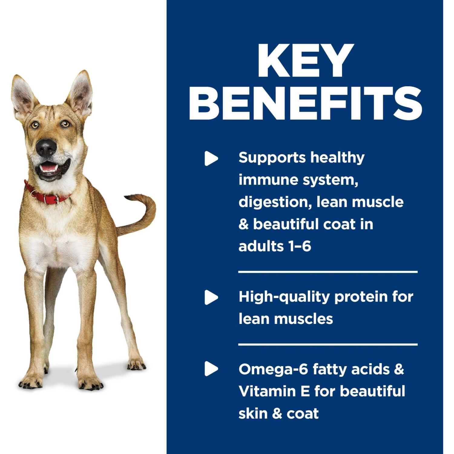 Hill's Science Diet Adult Chicken & Barley Entree Canned Dog Food 8 Hill's Science Diet Adult Chicken & Barley Entree Canned Dog Food - Image 6