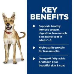Hill's Science Diet Adult Beef & Barley Entree Canned Dog Food -Hill's Science Plan Store 48969 PT5. AC SS1800 V1598144498