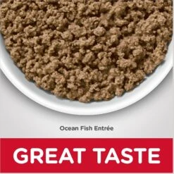 Hill's Science Diet Adult Hairball Control Ocean Fish Entree Canned Cat Food -Hill's Science Plan Store 48987 PT5. AC SS1800 V1598145360