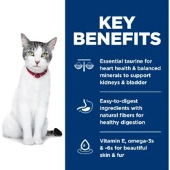 Hill's Science Diet Adult 11+ Chicken Recipe Dry Cat Food 14 Hill's Science Diet Adult 11+ Chicken Recipe Dry Cat Food -Hill's Science Plan Store 49534 PT3. AC SS1800 V1598148073