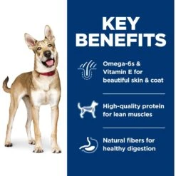 Hill's Science Diet Adult Lamb Meal & Brown Rice Recipe Dry Dog Food -Hill's Science Plan Store 52687 PT4. AC SS1800 V1598157402