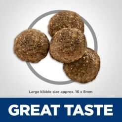 Hill's Science Diet Adult Large Breed Lamb Meal & Brown Rice Dry Dog Food -Hill's Science Plan Store 52696 PT2. AC SS1800 V1609381042