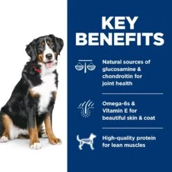 Hill's Science Diet Adult Large Breed Lamb Meal & Brown Rice Dry Dog Food -Hill's Science Plan Store 52696 PT4. AC SS1800 V1605836518