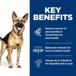 Hill's Science Diet Adult 6+ Large Breed Chicken Meal, Barley & Rice Dry Dog Food -Hill's Science Plan Store 52715 PT5. AC SS1800 V1605841915