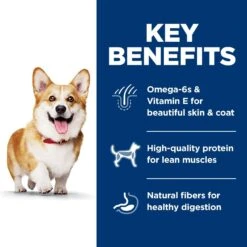 Hill's Science Diet Adult Small Bites Lamb Meal & Brown Rice Recipe Dry Dog Food 15 Hill's Science Diet Adult Small Bites Lamb Meal & Brown Rice Recipe Dry Dog Food -Hill's Science Plan Store 52719 PT4. AC SS1800 V1598149565