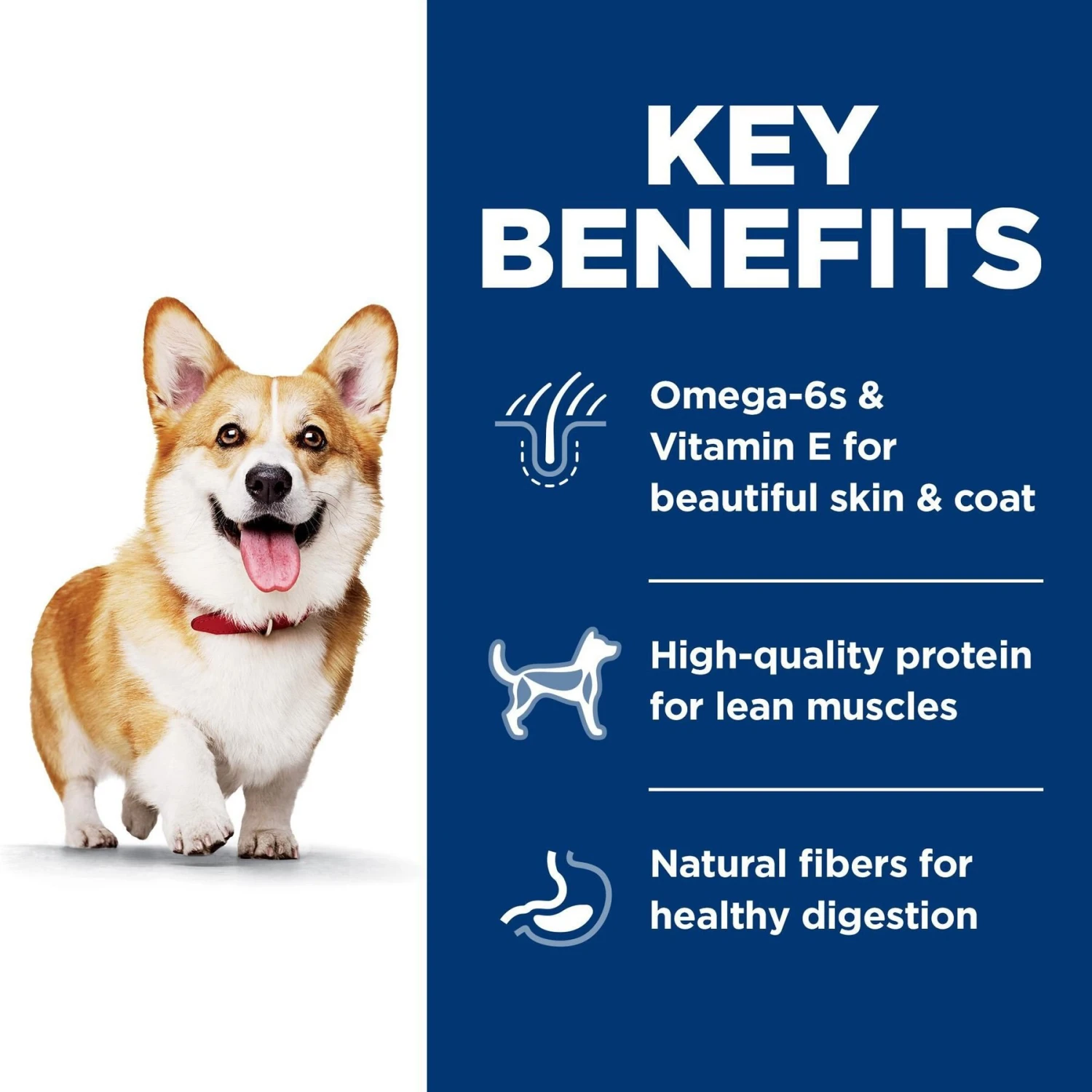 Hill's Science Diet Adult Small Bites Lamb Meal & Brown Rice Recipe Dry Dog Food 7 Hill's Science Diet Adult Small Bites Lamb Meal & Brown Rice Recipe Dry Dog Food - Image 5