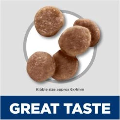 Hill's Science Diet Kitten Healthy Development Chicken Recipe Dry Cat Food -Hill's Science Plan Store 52751 PT2. AC SS1800 V1690571431