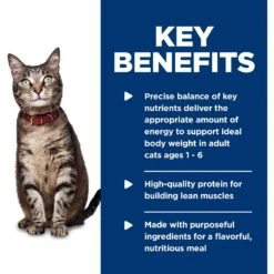 Hill's Science Diet Adult Tender Ocean Fish Dinner Canned Cat Food -Hill's Science Plan Store 52765 PT4. AC SS1800 V1598153504