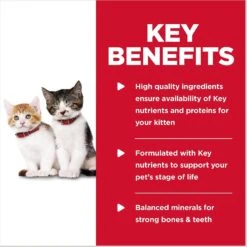 Hill's Science Diet Kitten Tender Chicken Dinner Canned Cat Food 14 Hill's Science Diet Kitten Tender Chicken Dinner Canned Cat Food -Hill's Science Plan Store 52774 PT3. AC SS1800 V1598155557