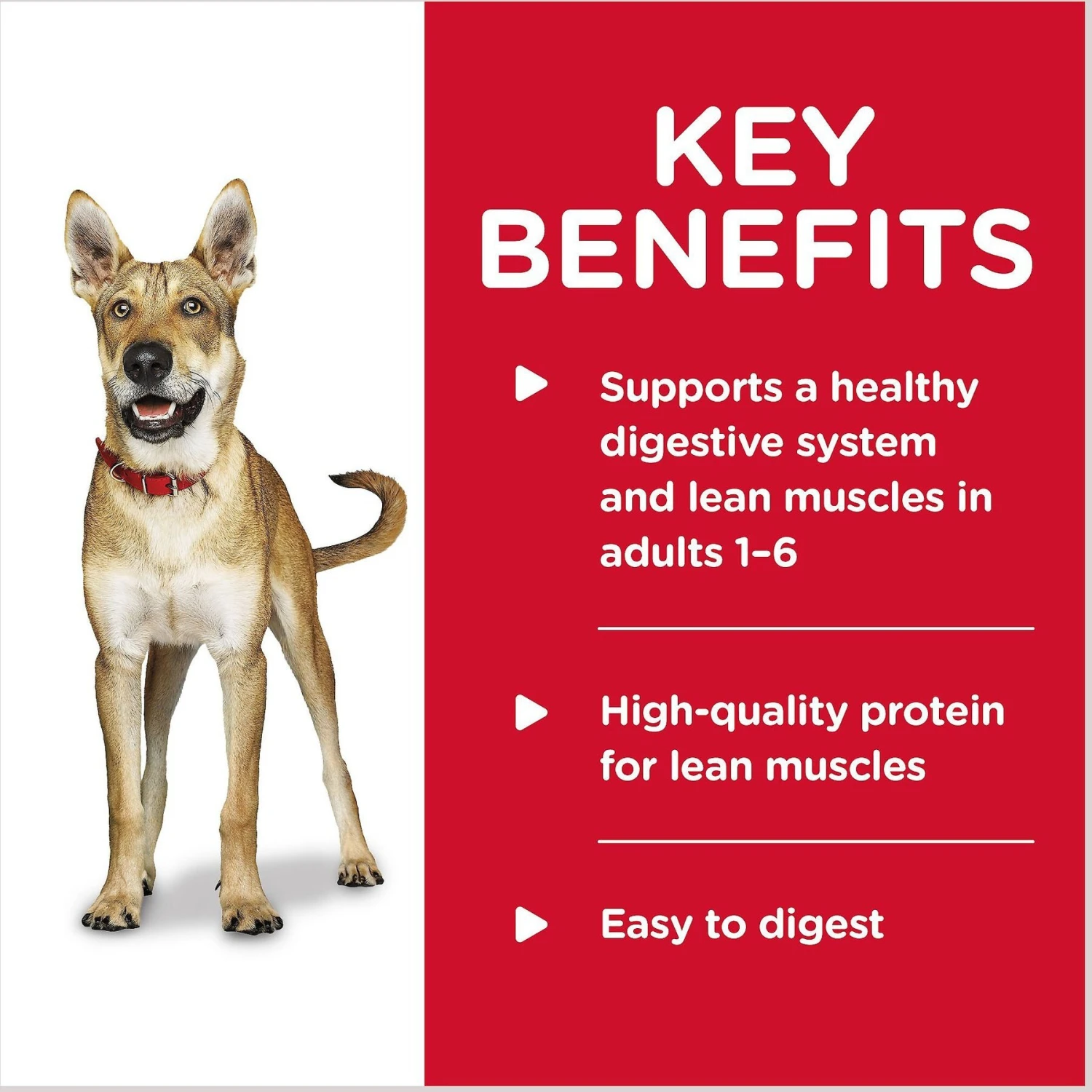 Hill's Science Diet Adult Savory Stew With Beef & Vegetables Canned Dog Food 5 Hill's Science Diet Adult Savory Stew With Beef & Vegetables Canned Dog Food - Image 4