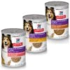 Hill's Science Diet Adult Sensitive Stomach & Skin Chicken & Vegetable Entrée Canned Dog Food + 2 Items -Hill's Science Plan Store 657158 MAIN. AC SS1800 V1665754677