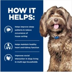 Hill's Prescription Diet B/d Brain Aging Care Chicken Flavor Dry Dog Food 15 Hill's Prescription Diet B/d Brain Aging Care Chicken Flavor Dry Dog Food -Hill's Science Plan Store 69742 PT4. AC SS1800 V1665780090