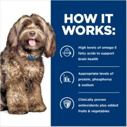 Hill's Prescription Diet B/d Brain Aging Care Chicken Flavor Dry Dog Food 16 Hill's Prescription Diet B/d Brain Aging Care Chicken Flavor Dry Dog Food -Hill's Science Plan Store 69742 PT5. AC SS1800 V1665781351