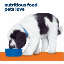 Hill's Prescription Diet C/d Multicare Urinary Care Chicken Flavor Wet Dog Food -Hill's Science Plan Store 69743 PT3. AC SS1800 V1687986100