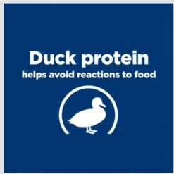 Hill's Prescription Diet D/d Skin/Food Sensitivities Duck Formula Canned Dog Food -Hill's Science Plan Store 69747 PT2. AC SS1800 V1682350030