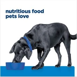 Hill's Prescription Diet D/d Skin/Food Sensitivities Salmon Formula Canned Dog Food -Hill's Science Plan Store 69748 PT6. AC SS1800 V1672947916