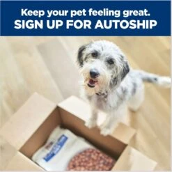 Hill's Prescription Diet D/d Skin/Food Sensitivities Salmon Formula Canned Dog Food -Hill's Science Plan Store 69748 PT8. AC SS1800 V1672948210