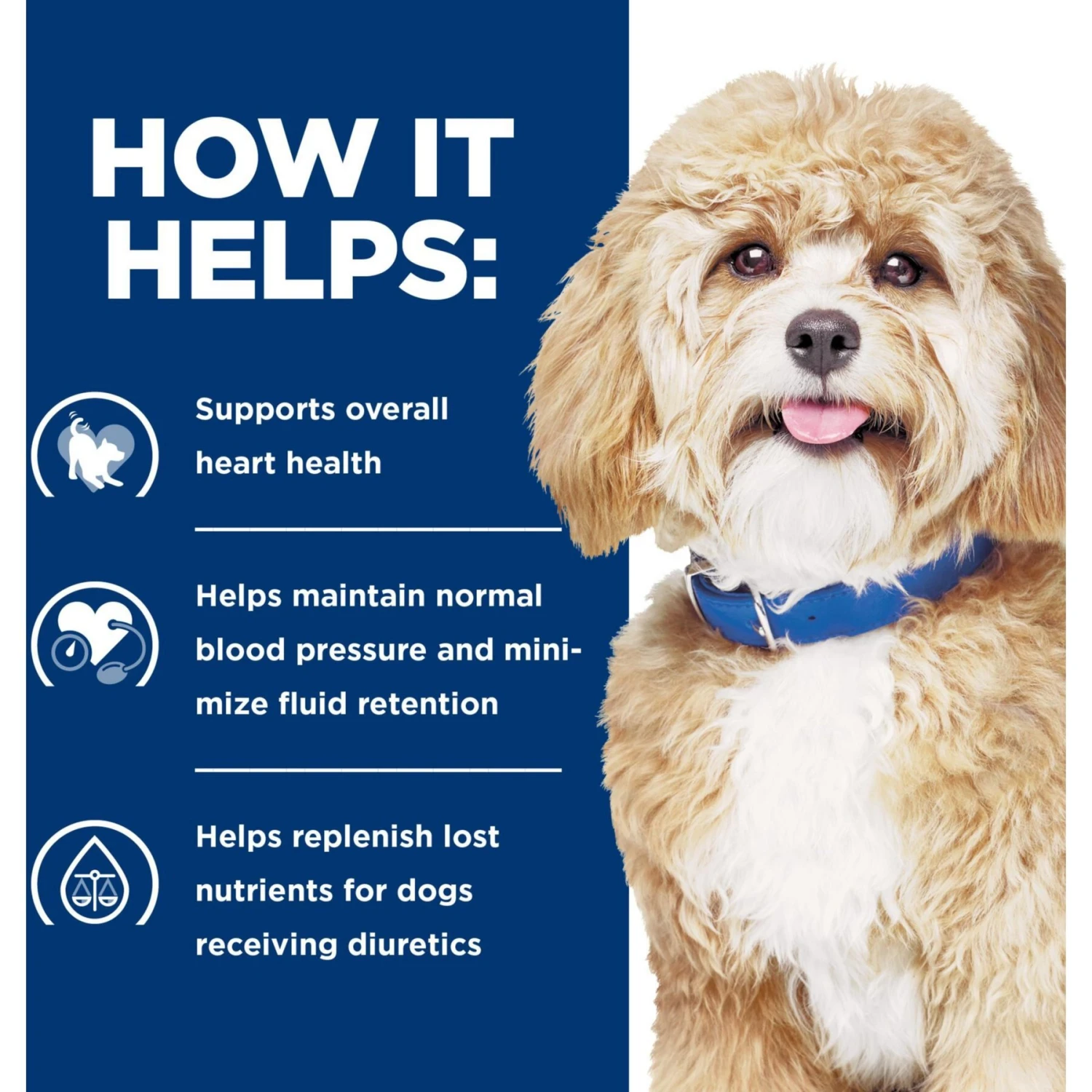 Hill's Prescription Diet H/d Heart Care Chicken Flavor Dry Dog Food 6 Hill's Prescription Diet H/d Heart Care Chicken Flavor Dry Dog Food - Image 4