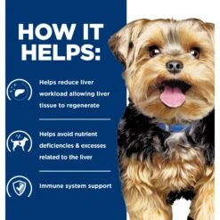 Hill's Prescription Diet L/d Liver Care Original Flavor Wet Dog Food 15 Hill's Prescription Diet L/d Liver Care Original Flavor Wet Dog Food -Hill's Science Plan Store 69775 PT4. AC SS1800 V1687986907