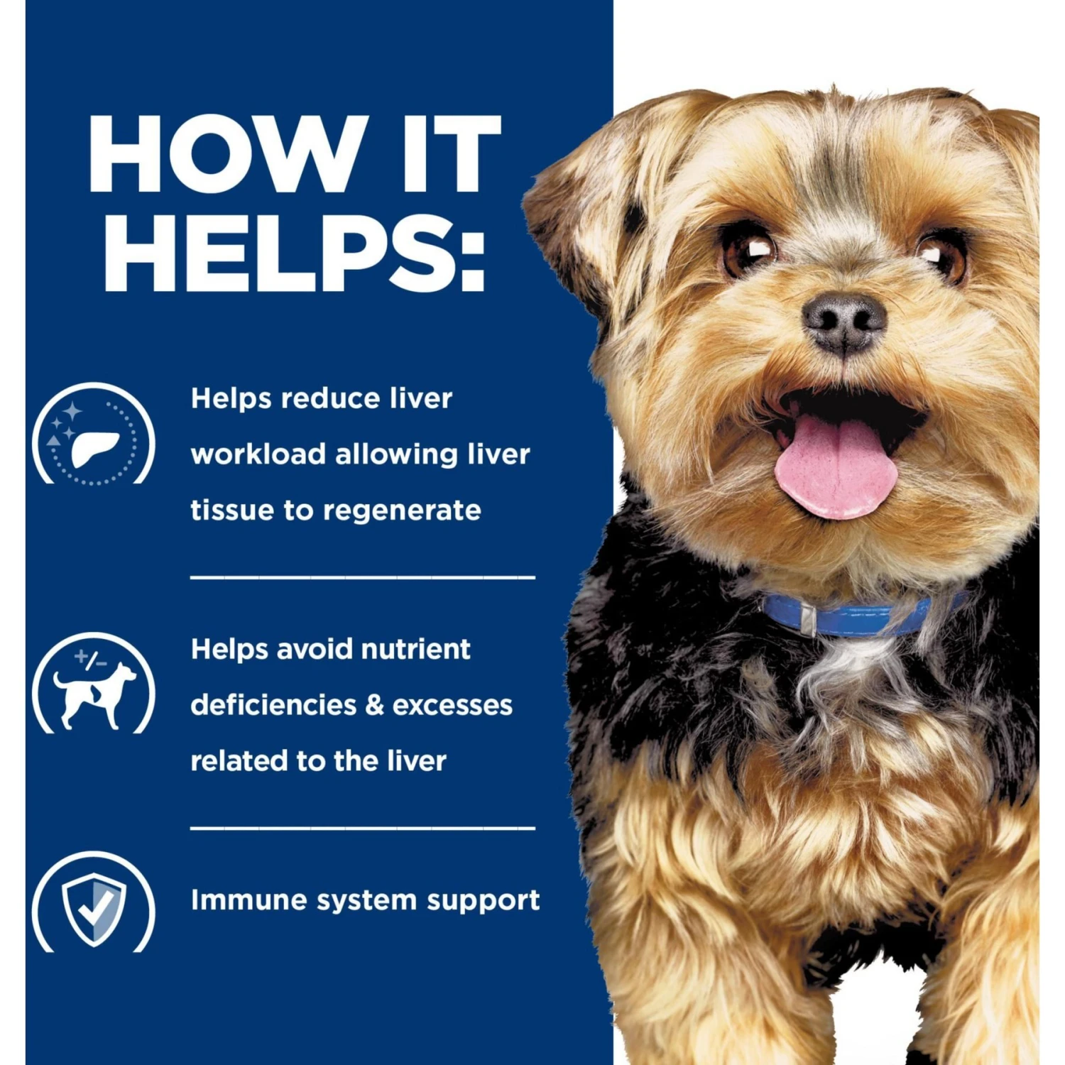 Hill's Prescription Diet L/d Liver Care Original Flavor Wet Dog Food 7 Hill's Prescription Diet L/d Liver Care Original Flavor Wet Dog Food - Image 5