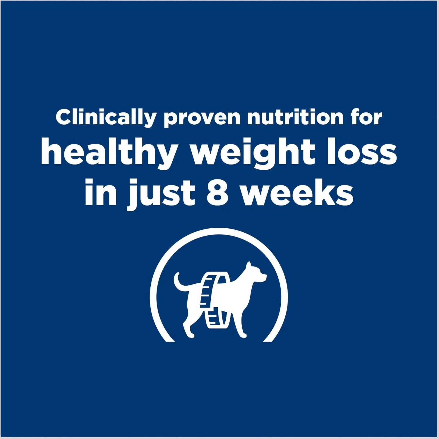 Hill's Prescription Diet R/d Weight Reduction Original Canned Dog Food 5 Hill's Prescription Diet R/d Weight Reduction Original Canned Dog Food - Image 3