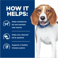 Hill's Prescription Diet R/d Weight Reduction Original Canned Dog Food 14 Hill's Prescription Diet R/d Weight Reduction Original Canned Dog Food -Hill's Science Plan Store 69783 PT3. AC SS1800 V1672947078