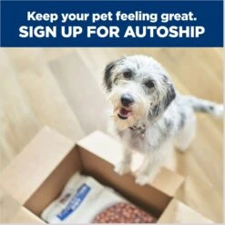 Hill's Prescription Diet R/d Weight Reduction Original Canned Dog Food 19 Hill's Prescription Diet R/d Weight Reduction Original Canned Dog Food -Hill's Science Plan Store 69783 PT8. AC SS1800 V1672947058
