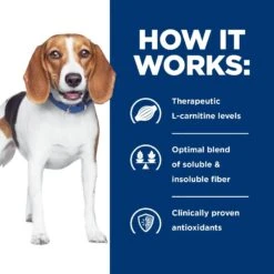 Hill's Prescription Diet R/d Weight Reduction Chicken Flavor Dry Dog Food -Hill's Science Plan Store 69786 PT4. AC SS1800 V1651694485