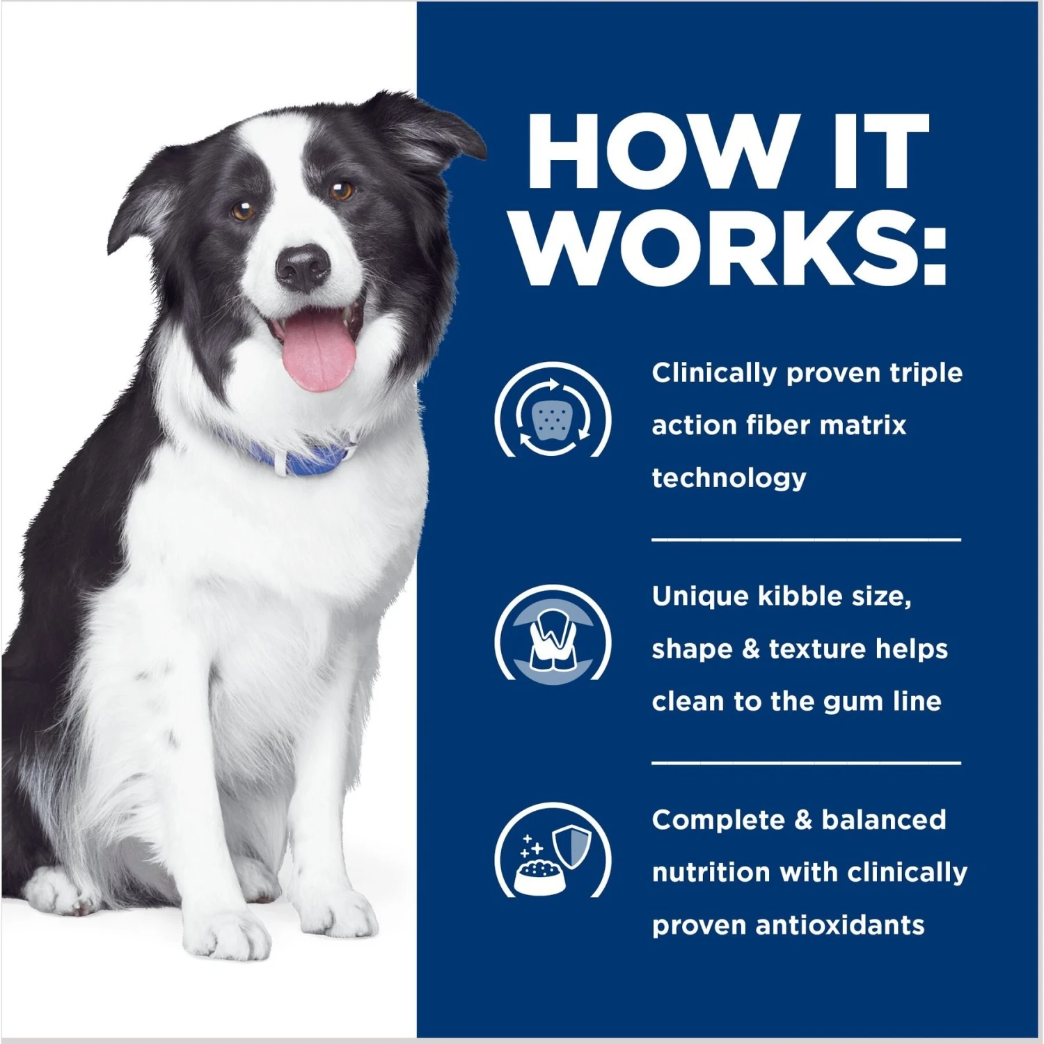 Hill's Prescription Diet T/d Dental Care Chicken Flavor Dry Dog Food 7 Hill's Prescription Diet T/d Dental Care Chicken Flavor Dry Dog Food - Image 5
