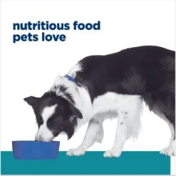 Hill's Prescription Diet T/d Dental Care Chicken Flavor Dry Dog Food 17 Hill's Prescription Diet T/d Dental Care Chicken Flavor Dry Dog Food -Hill's Science Plan Store 69790 PT6. AC SS1800 V1668549989