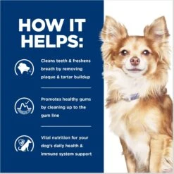 Hill's Prescription Diet T/d Dental Care Small Bites Chicken Flavor Dry Dog Food -Hill's Science Plan Store 69792 PT4. AC SS1800 V1687986583