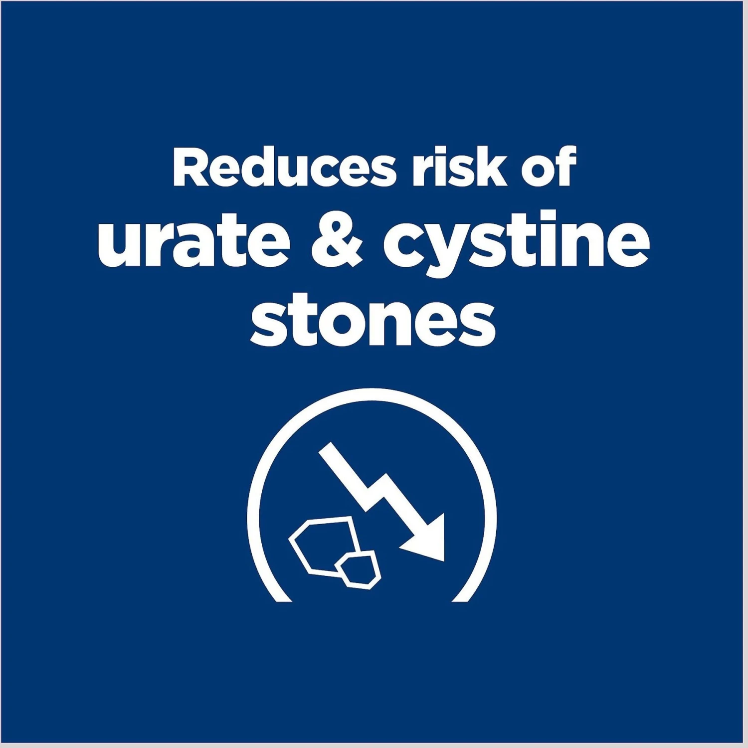 Hill's Prescription Diet U/d Urinary Care Original Flavor Dry Dog Food 6 Hill's Prescription Diet U/d Urinary Care Original Flavor Dry Dog Food - Image 4